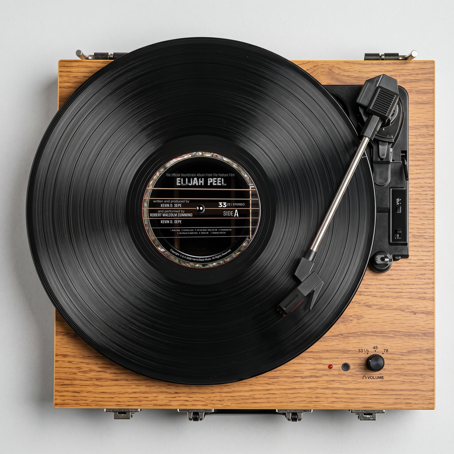 Vinyl Record - 12 inch Limited Edition (Unsigned)